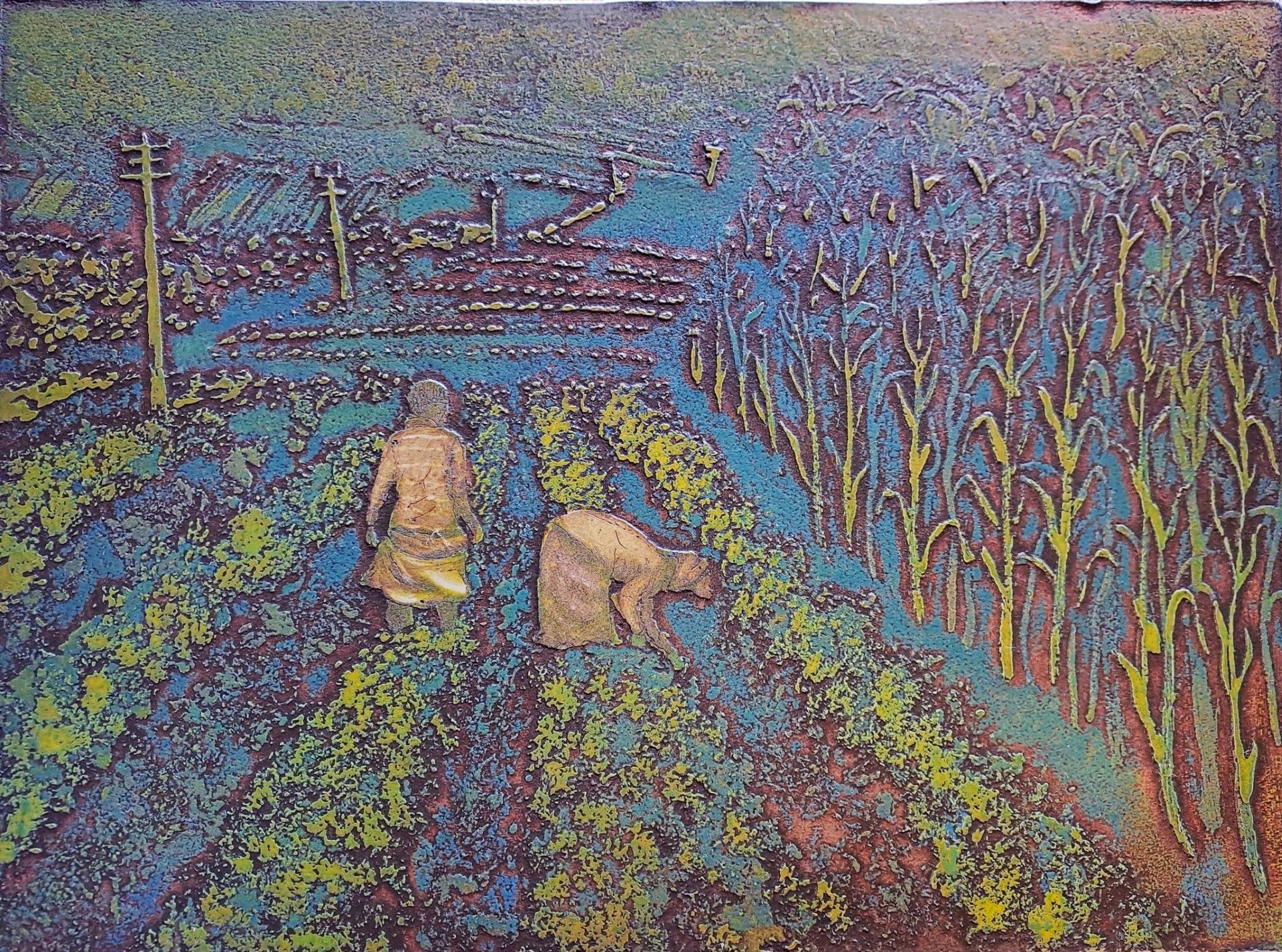 untitle 6
